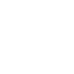 Ship icon representing marine industry services